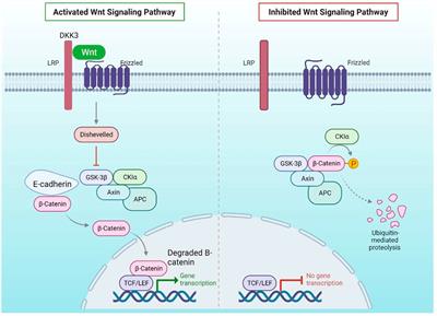 Epigenetic factors in breast cancer therapy